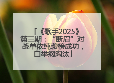 《歌手2025》第三期：“断眉”对战单依纯袭榜成功，白举纲淘汰