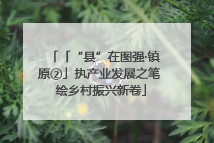 「“县”在图强·镇原②」执产业发展之笔 绘乡村振兴新卷