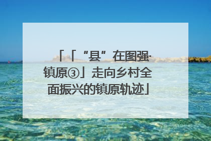 「“县”在图强·镇原③」走向乡村全面振兴的镇原轨迹