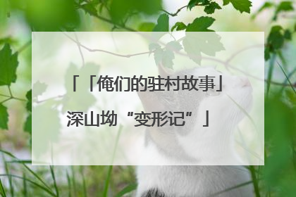 「俺们的驻村故事」深山坳“变形记”