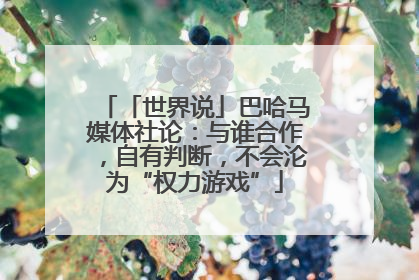 「世界说」巴哈马媒体社论：与谁合作，自有判断，不会沦为“权力游戏”