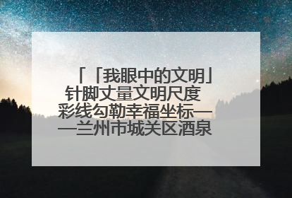 「我眼中的文明」针脚丈量文明尺度 彩线勾勒幸福坐标——兰州市城关区酒泉路街道办事处