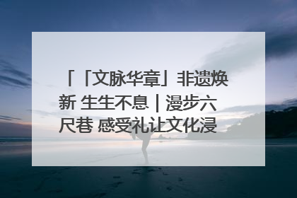 「文脉华章」非遗焕新 生生不息｜漫步六尺巷 感受礼让文化浸润的“巷”往生活