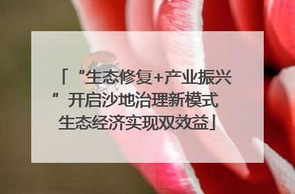 “生态修复+产业振兴”开启沙地治理新模式 生态经济实现双效益
