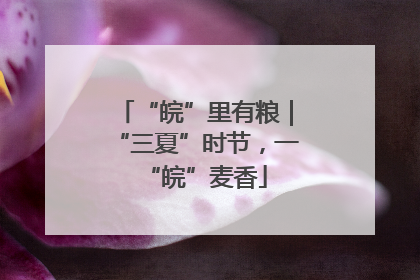 “皖”里有粮｜“三夏”时节，一“皖”麦香