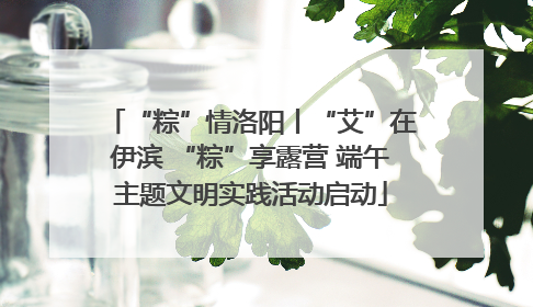 “粽”情洛阳丨“艾”在伊滨 “粽”享露营 端午主题文明实践活动启动