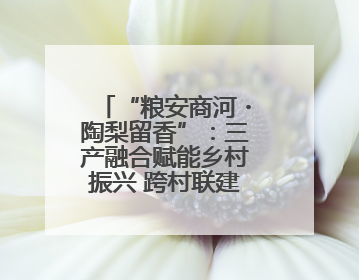 “粮安商河・陶梨留香”：三产融合赋能乡村振兴 跨村联建绘就共富画卷