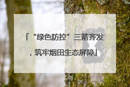 “绿色防控”三箭齐发，筑牢烟田生态屏障