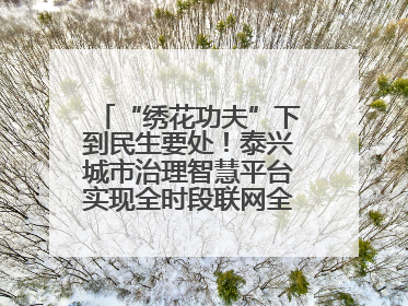 “绣花功夫”下到民生要处！泰兴城市治理智慧平台实现全时段联网全要素细治