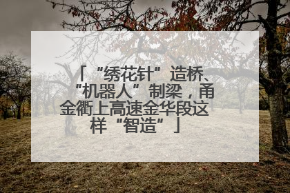 “绣花针”造桥、“机器人”制梁，甬金衢上高速金华段这样“智造”