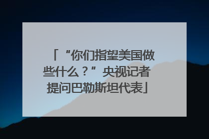 “你们指望美国做些什么？”央视记者提问巴勒斯坦代表