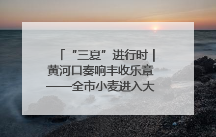 “三夏”进行时｜黄河口奏响丰收乐章——全市小麦进入大面积收获高峰期