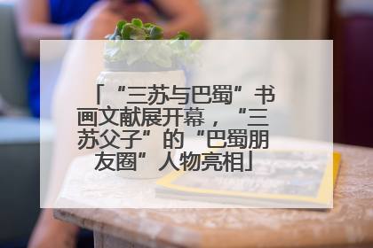 “三苏与巴蜀”书画文献展开幕，“三苏父子”的“巴蜀朋友圈”人物亮相