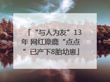 “与人为友”13年 网红麋鹿“点点”已产下8胎幼崽