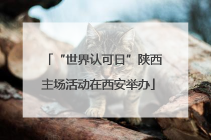 “世界认可日”陕西主场活动在西安举办