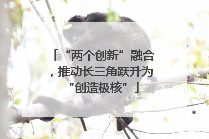 “两个创新”融合，推动长三角跃升为“创造极核”