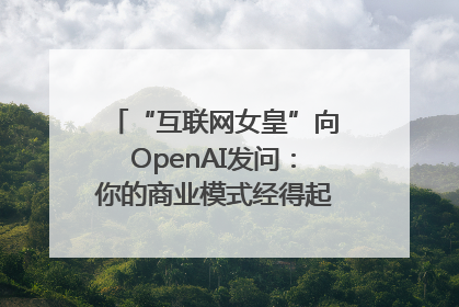 “互联网女皇”向OpenAI发问：你的商业模式经得起价格战考验么？
