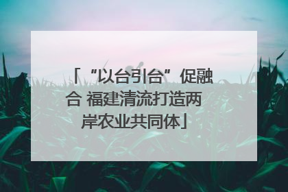 “以台引台”促融合 福建清流打造两岸农业共同体
