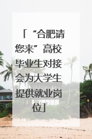 “合肥请您来”高校毕业生对接会为大学生提供就业岗位
