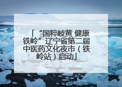 “国粹岐黄 健康铁岭”辽宁省第二届中医药文化夜市（铁岭站）启动