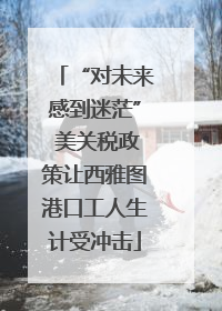 “对未来感到迷茫” 美关税政策让西雅图港口工人生计受冲击