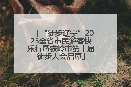 “徒步辽宁”2025全省市民游客快乐行暨铁岭市第十届徒步大会启幕