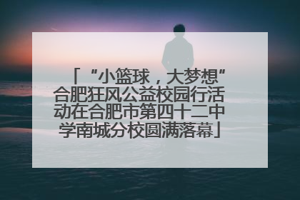 “小篮球，大梦想”合肥狂风公益校园行活动在合肥市第四十二中学南城分校圆满落幕