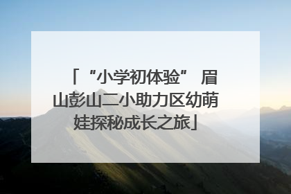 “小学初体验” 眉山彭山二小助力区幼萌娃探秘成长之旅