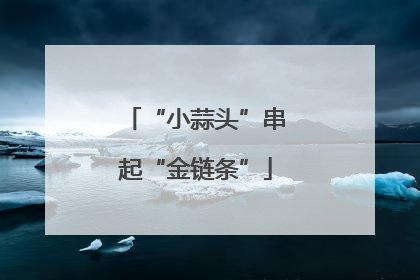 “小蒜头”串起“金链条”