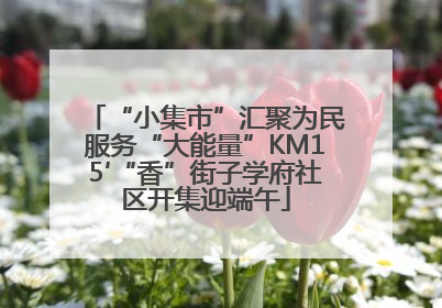 “小集市”汇聚为民服务“大能量”KM15′“香”街子学府社区开集迎端午