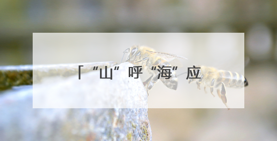 “山”呼“海”应 弦歌续行 山西省与复旦大学再谱省校合作新篇章