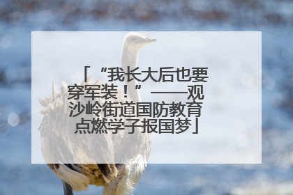 “我长大后也要穿军装！”——观沙岭街道国防教育点燃学子报国梦