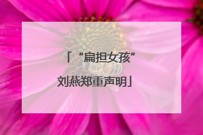 “扁担女孩”刘燕郑重声明