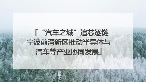 “汽车之城”追芯逐链 宁波前湾新区推动半导体与汽车等产业协同发展