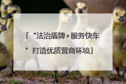 “法治盾牌+服务快车”打造优质营商环境