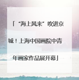 “海上风来”吹进京城！上海中国画院中青年画家作品展开幕