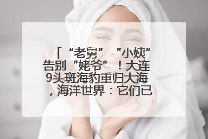 “老舅”“小姨”告别“姥爷”！大连9头斑海豹重归大海，海洋世界：它们已具备野外生存能力