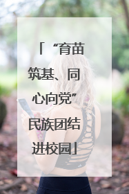 “育苗筑基、同心向党”民族团结进校园
