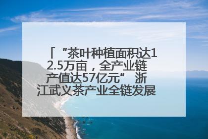 “茶叶种植面积达12.5万亩，全产业链产值达57亿元” 浙江武义茶产业全链发展“加速度”