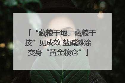 “藏粮于地、藏粮于技”见成效 盐碱滩涂变身“黄金粮仓”