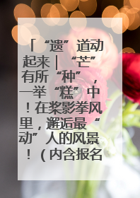 “遗”道动起来｜“芒”有所“种”，一举“糕”中！在桨影拳风里，邂逅最“动”人的风景！（内含报名信息）