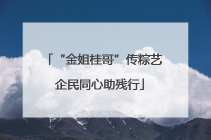 “金姐桂哥”传粽艺 企民同心助残行
