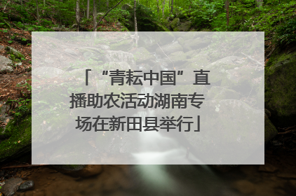 “青耘中国”直播助农活动湖南专场在新田县举行