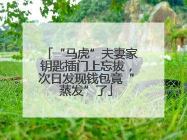“马虎”夫妻家钥匙插门上忘拔，次日发现钱包竟“蒸发”了