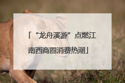 “龙舟溪游”点燃江南西商圈消费热潮