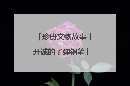 珍贵文物故事丨开诚的子弹钢笔