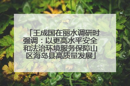 王成国在丽水调研时强调：以更高水平安全和法治环境服务保障山区海岛县高质量发展