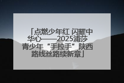 点燃少年红 闪耀中华心——2025浦莎青少年“手拉手”陕西路线丝路续新章