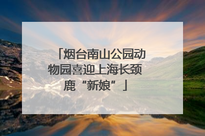 烟台南山公园动物园喜迎上海长颈鹿“新娘”