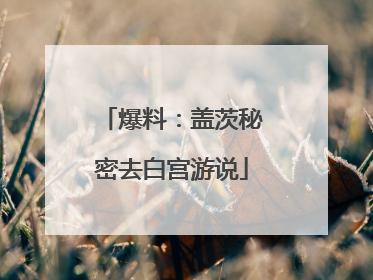 爆料：盖茨秘密去白宫游说